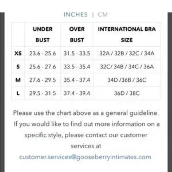 Gooseberry White Lace Bra - Picture 5 of 5